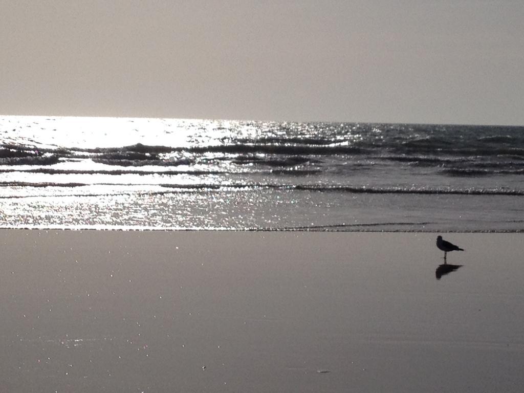 Vendee Vue Mer Saint-Hilaire-de-Riez Exteriér fotografie